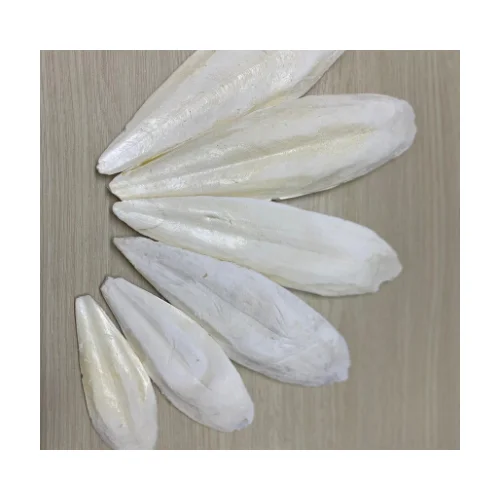 EXCELLENT QUALITY AND CUTTLEFISH BONE, AT A REASONABLE PRICE SUITABLE CUTTLEBONE POWDER - CRUSHED SEPIA/ Ms.Thi