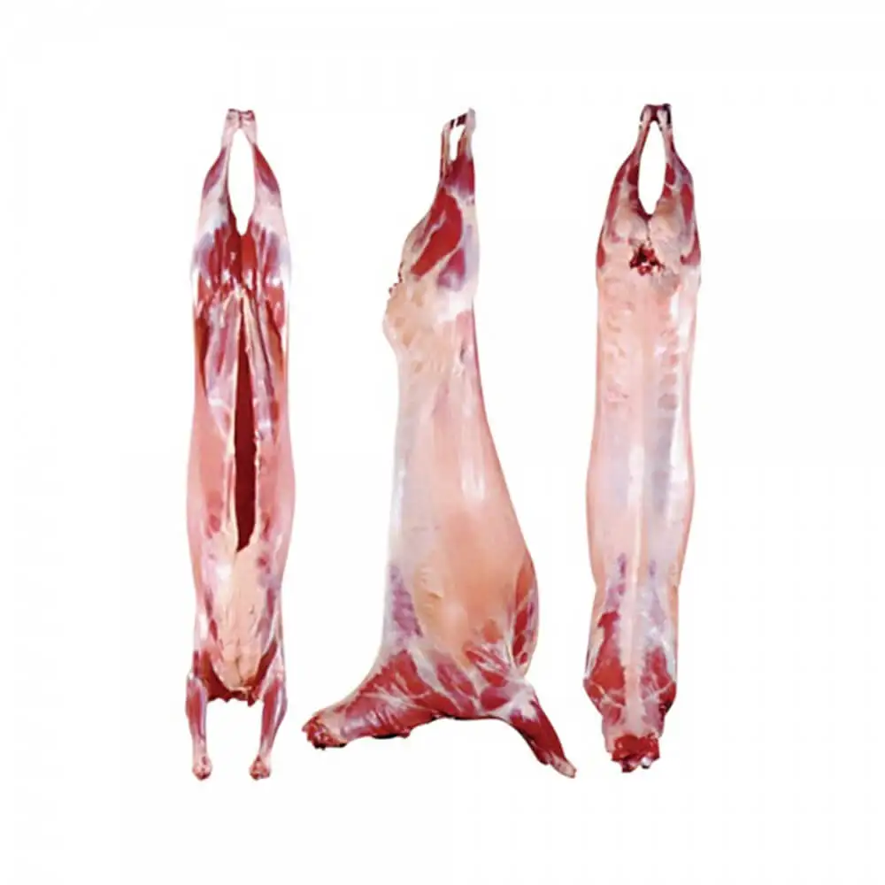 TOP QUALITY HALAL FRESH / FROZEN GOAT / LAMB / SHEEP MEAT / CARCASS FOR EXPORT