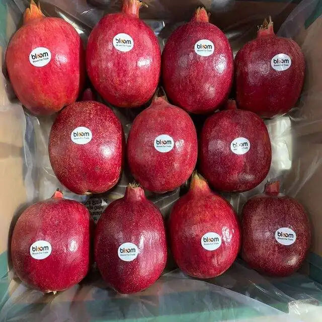 FRESH POMEGRANATE 2022 WITH LOW PRICE