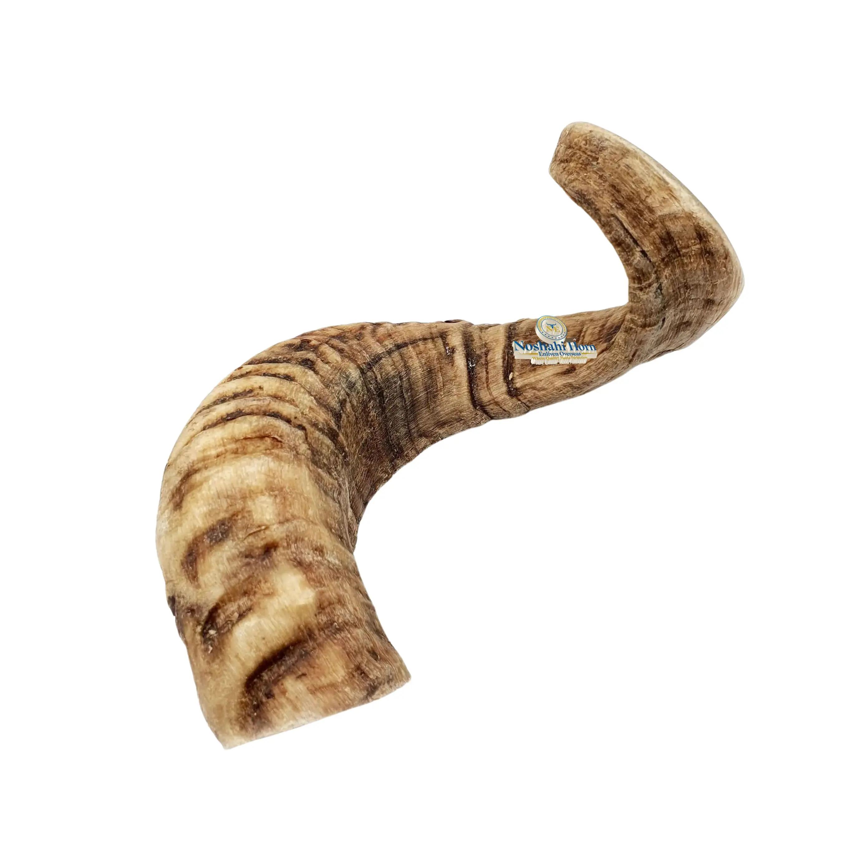 These should be the large variety like beef, ham, or lamb and should only be of large legs bones or hips