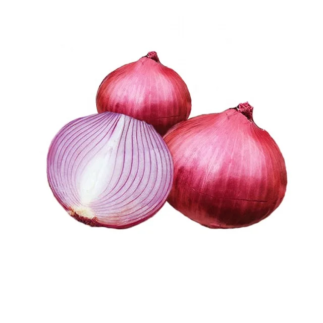high quality onion fresh 20kg per bag fresh red onions fresh onions