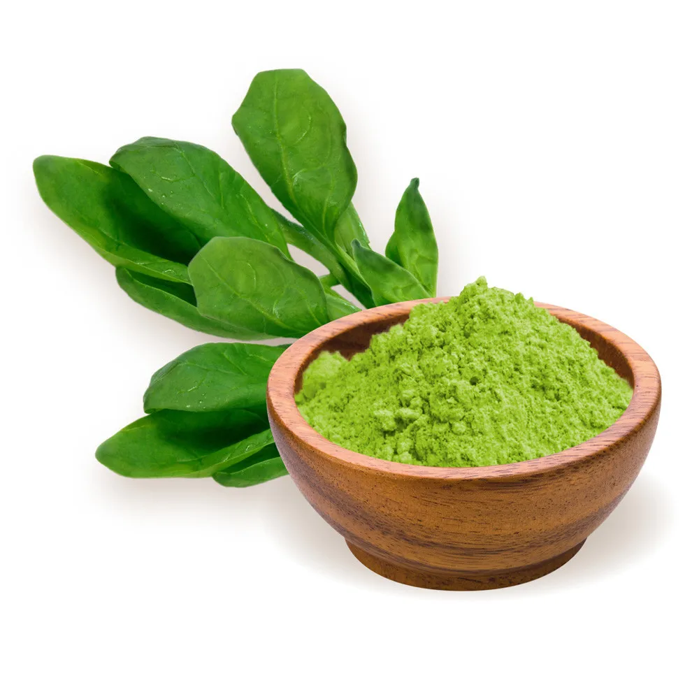 High Purity 100% Organic Pure wholesale Spinach Herbal Extract Whole Spinach Powder 100 g. dietary supplements