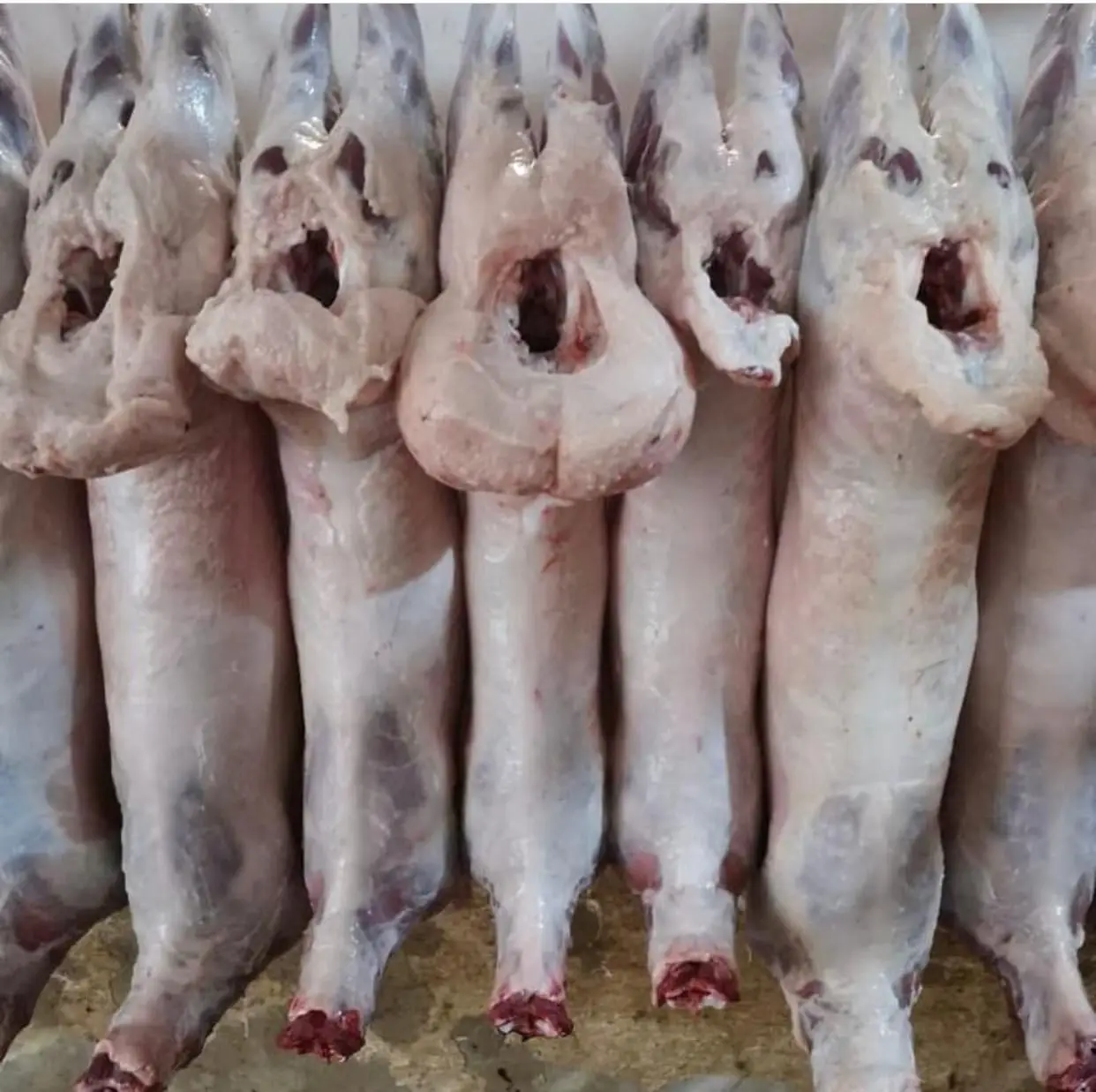 Buy Quality Halal Wholesale Frozen Lamb Tail Fat