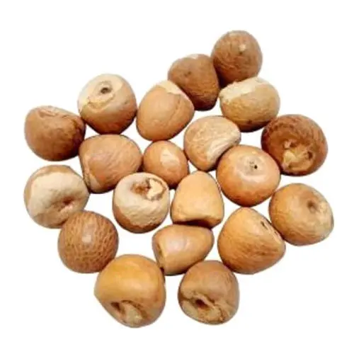 High Quality Betel Nuts (Whole & Split) Best Price for sale