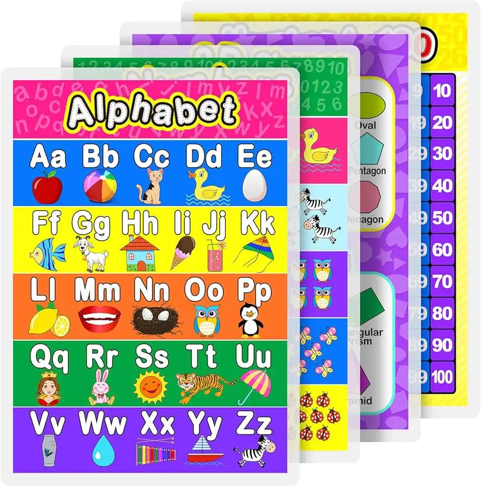 Custom Printing Waterproof Educational Poster For Indoor Wall  Preschool Learning For Kids