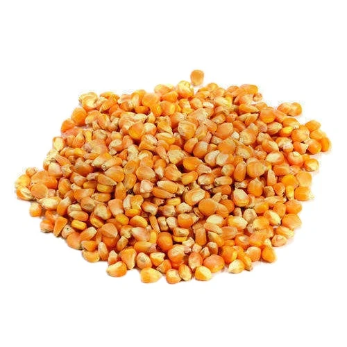Сушеная желтая Сладкая
