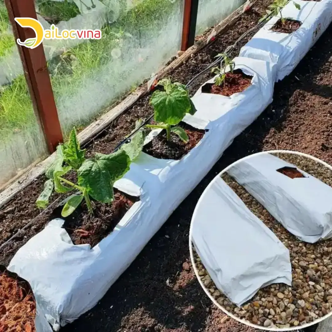HOT SELLING COCO PEAT GROW BAG SLABS USED FOR GROWING VEGETABLES AND CHEAPEST PRICE FROM DAILOCVINA