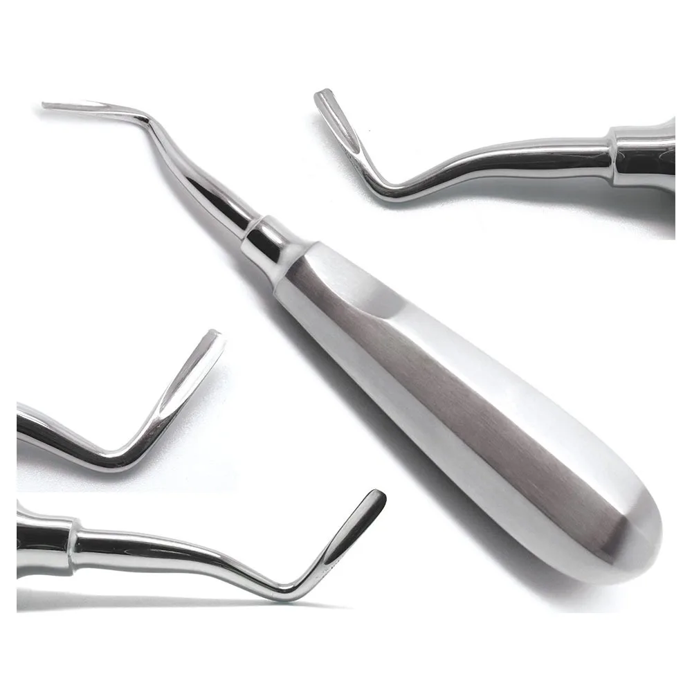 Top Trending 2023 Cross Bar Dental Winter Root Elevator Both Side Blade Professional Dentist Instruments