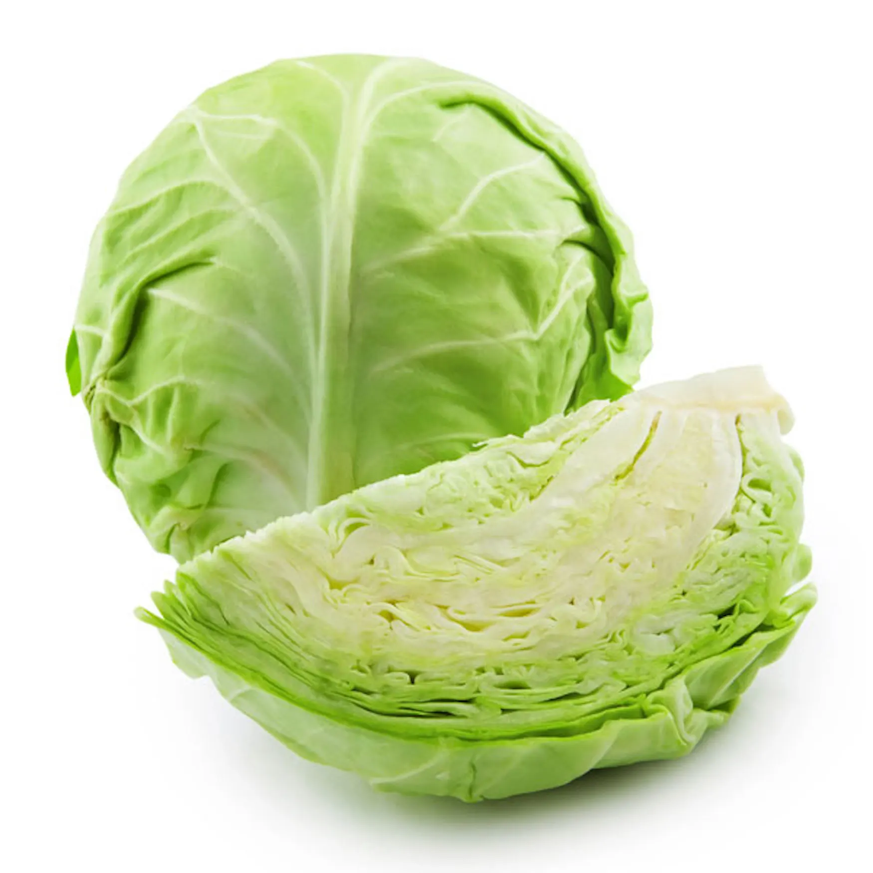 Best High Quality Fresh Vegetable Cabbage