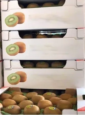 Fresh Fruit Kiwi 60gr at viols and Plastic carton boxes Turkish Original Kiwi wholesale fresh fruits