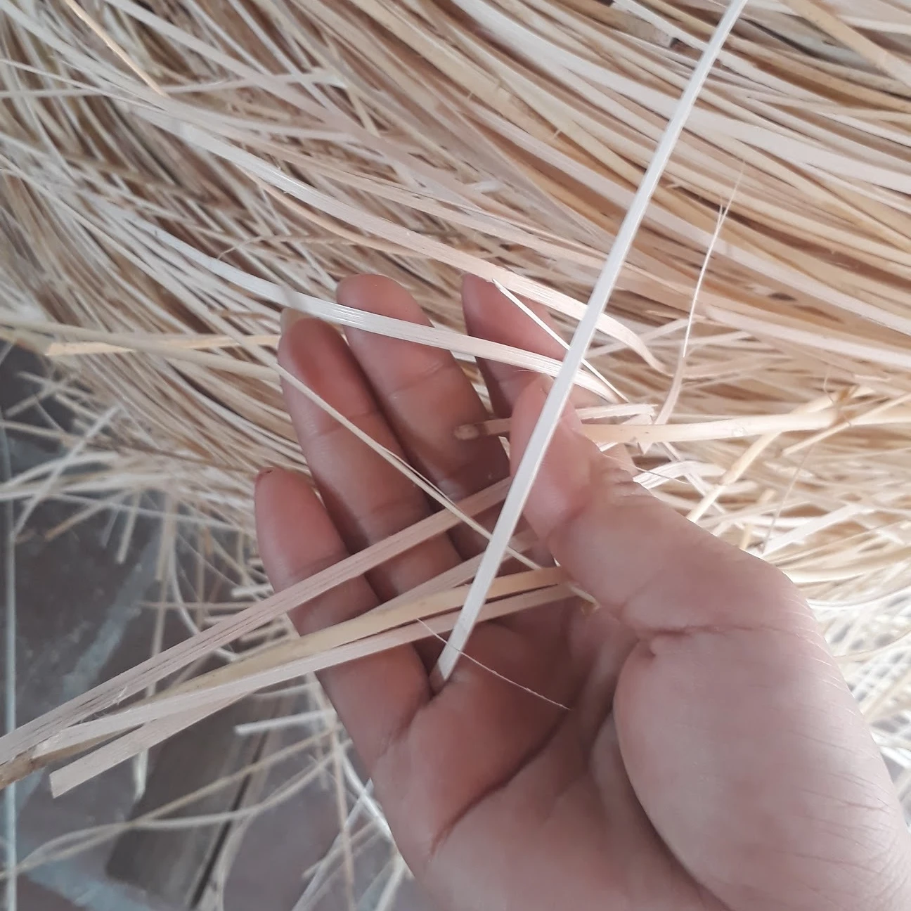Polished Size Pole Competitive Price Durable rattan cane raw material Natural Rattan Core from Vietnam +84947900124