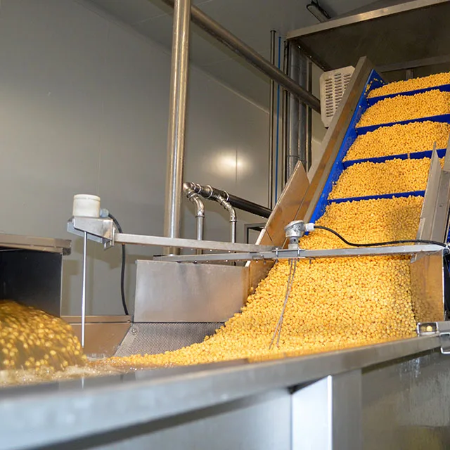 Canned Chick Peas Made in Spain Top Quality Healthy Pulses Ready to eat Cooked Chickpeas in jar 540g with Private Label