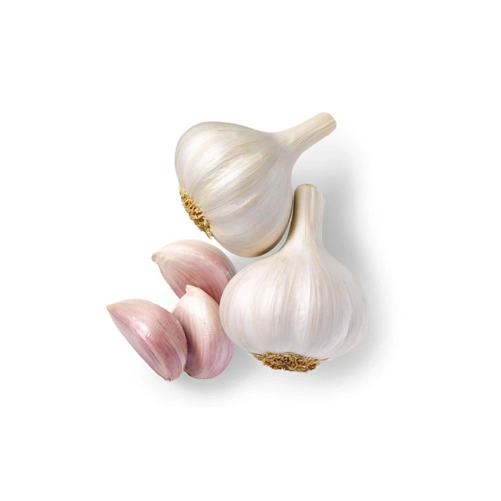 Best Selling Garlic Available At Wholesale Price From Indian Supplier