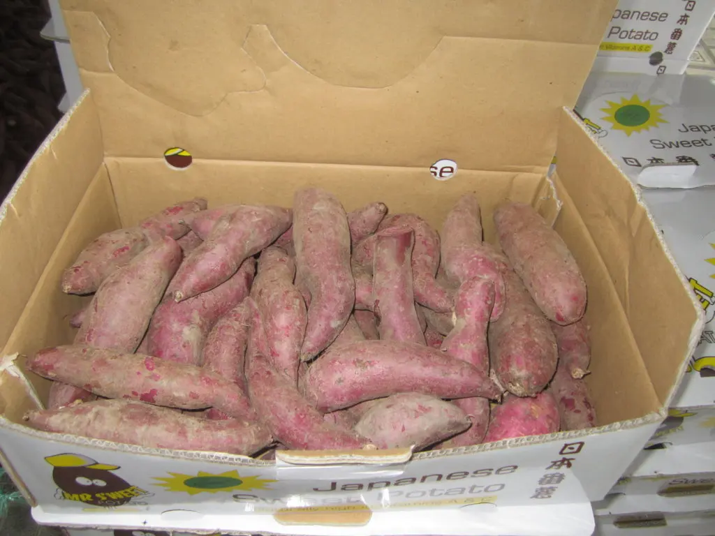 Лидер продаж, свежий сладкий картофель высокого качества с фермы для экспорта по конкурентоспособной цене из Вьетнама