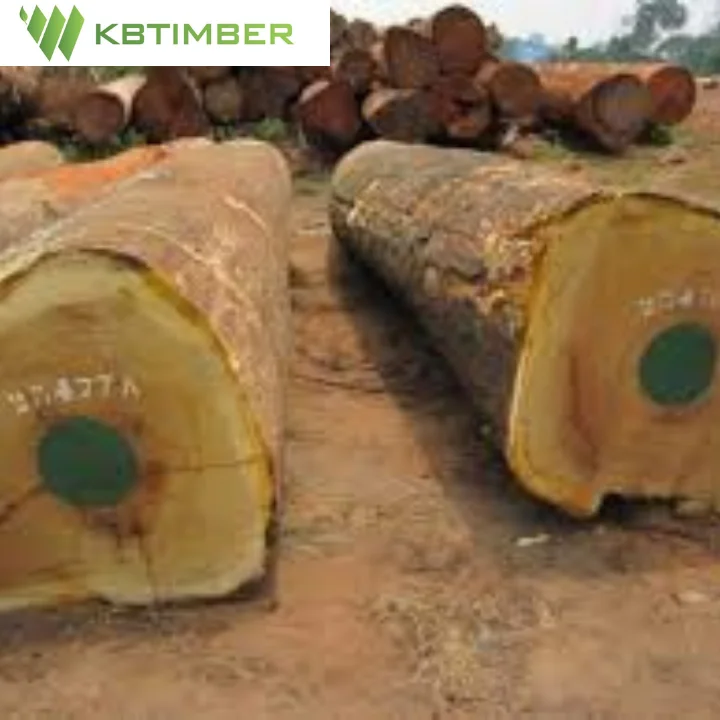 KBTIMBER африканская древесина Iroko оптовая продажа натуральные деревянные бревна древесное сырье строительный пол TB061