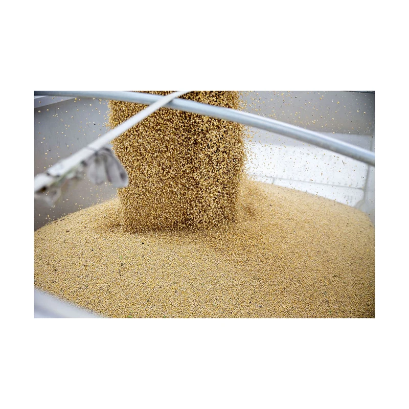 High Quality Non GMO Yellow Soybeans - Soybeans /Soya Bean (8.0mm) with High Quality Non Gmo High Quality Non GMO Yellow Soybean