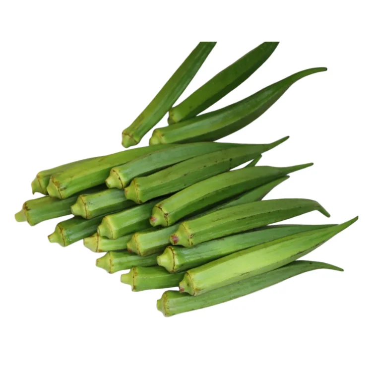 vegetables fresh okra High Quality natural taste using for many purposes TCVN packing in carton Vietnam Manufacturer (11000008096410)