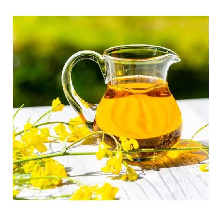 Oil Rapeseed Wholesale Plant Cooking Oil ISO Kosher HALAL Certified Organic Rapeseed Cold Pressed Oil