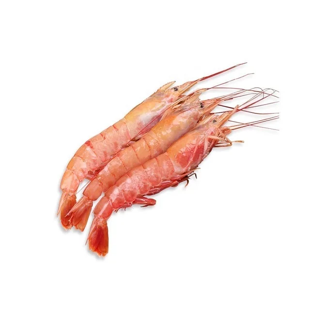 Frozen Black Tiger Shrimps - Black Tiger Prawn HOSO 8/12 600g - RAW VANNAMEI HOSO