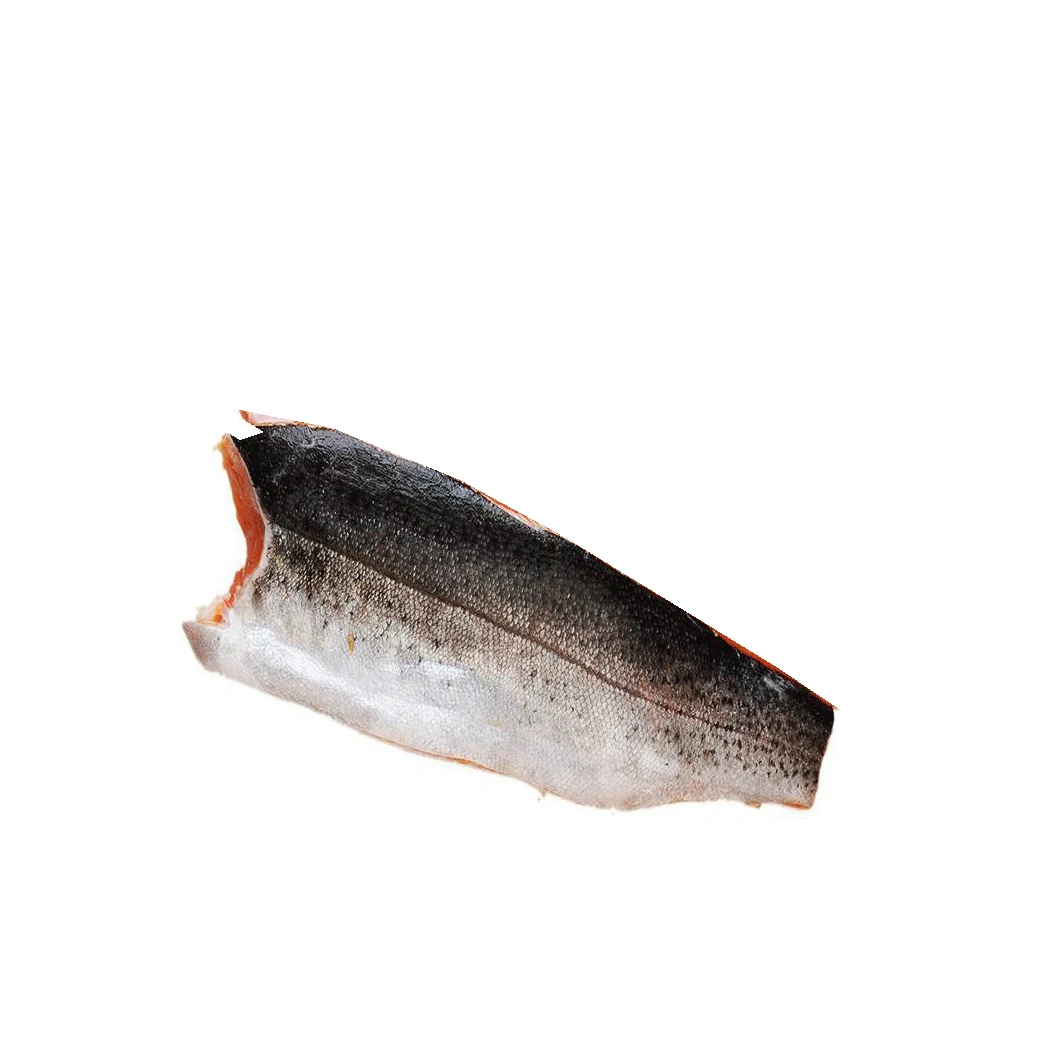 Whole Frozen Salmon Fish/ Salmon Fillet / Salmon Head for sale