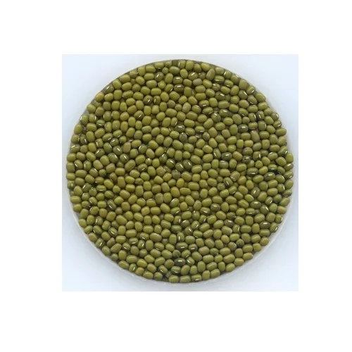 Wholesale Natural Organic High Quality Green Mung Beans Green Vigna Beans Green Gram Beans