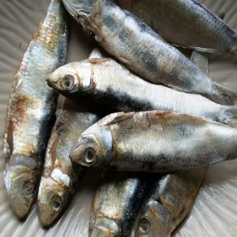 Лучший продукт из моря/сушеная сельдь с большими глазами для приготовления пищи/Высокое качество свежей сельди