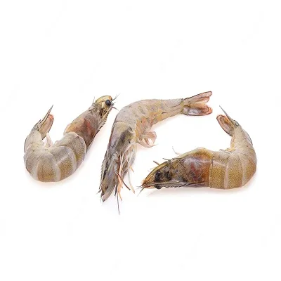 Hot Selling Frozen Shrimp Seafood, Black Tiger Shrimps for sale, Frozen Headless Shrimps Europe Supplier
