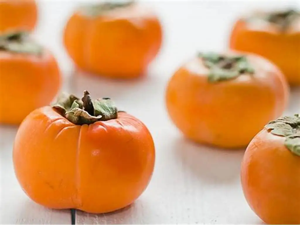 EXPORT HIGH-QUALITY FRESH PERSIMMON IN LARGE QUANTITIES | MADE IN VIETNAM