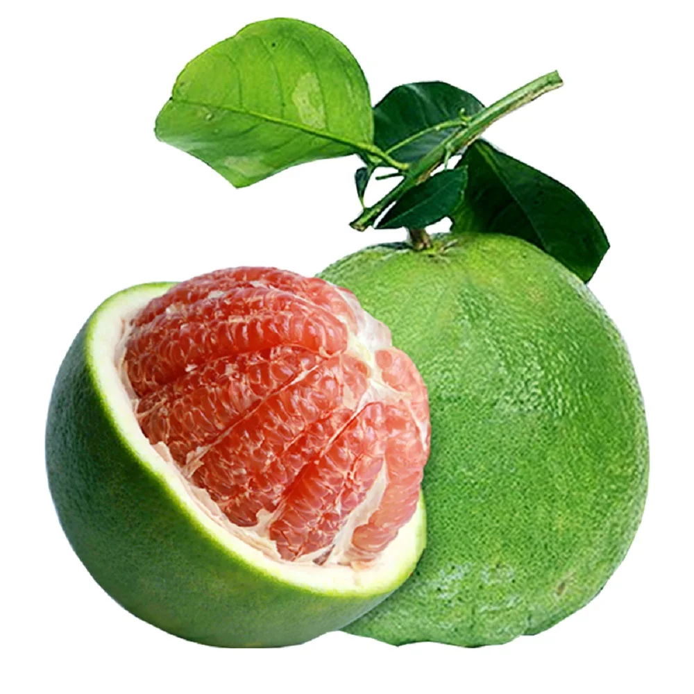 Export quality Common Crop Green Skin Natural Sweet Taste Fresh Pomelo Made In Vietnam Cheap Bulk