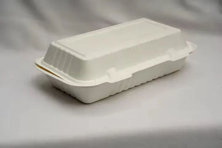 Export Quality Disposable 9x6 Inches Food Grade Container 2 Compartment Lid Leak Proof Natural Sugarcane Bagasse Boxes Food