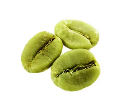 Dried Raw Cacao Fermented Cocoa Beans Cocoa Beans Ariba Cacao beans for sale