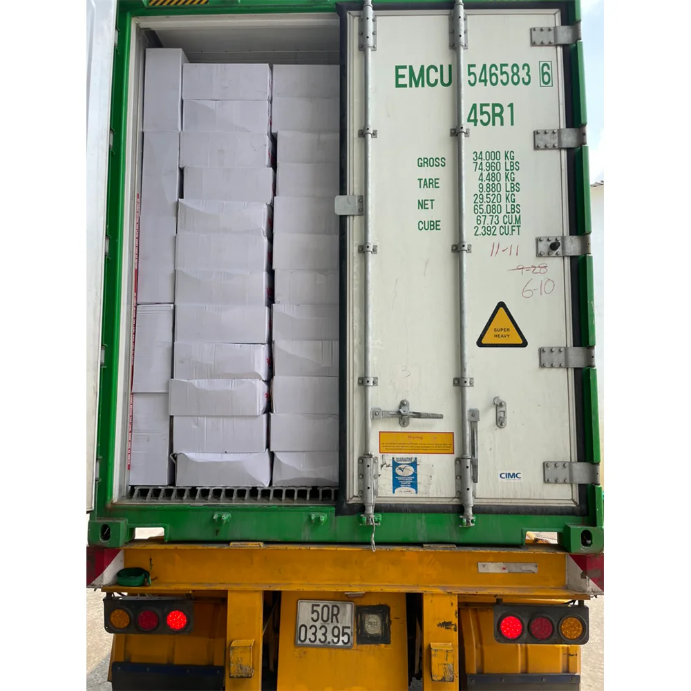 Factory Professional Production Bulk Dried Anchovy Dried Salted Anchovy Dry Anchovy Fish Made In Vietnam