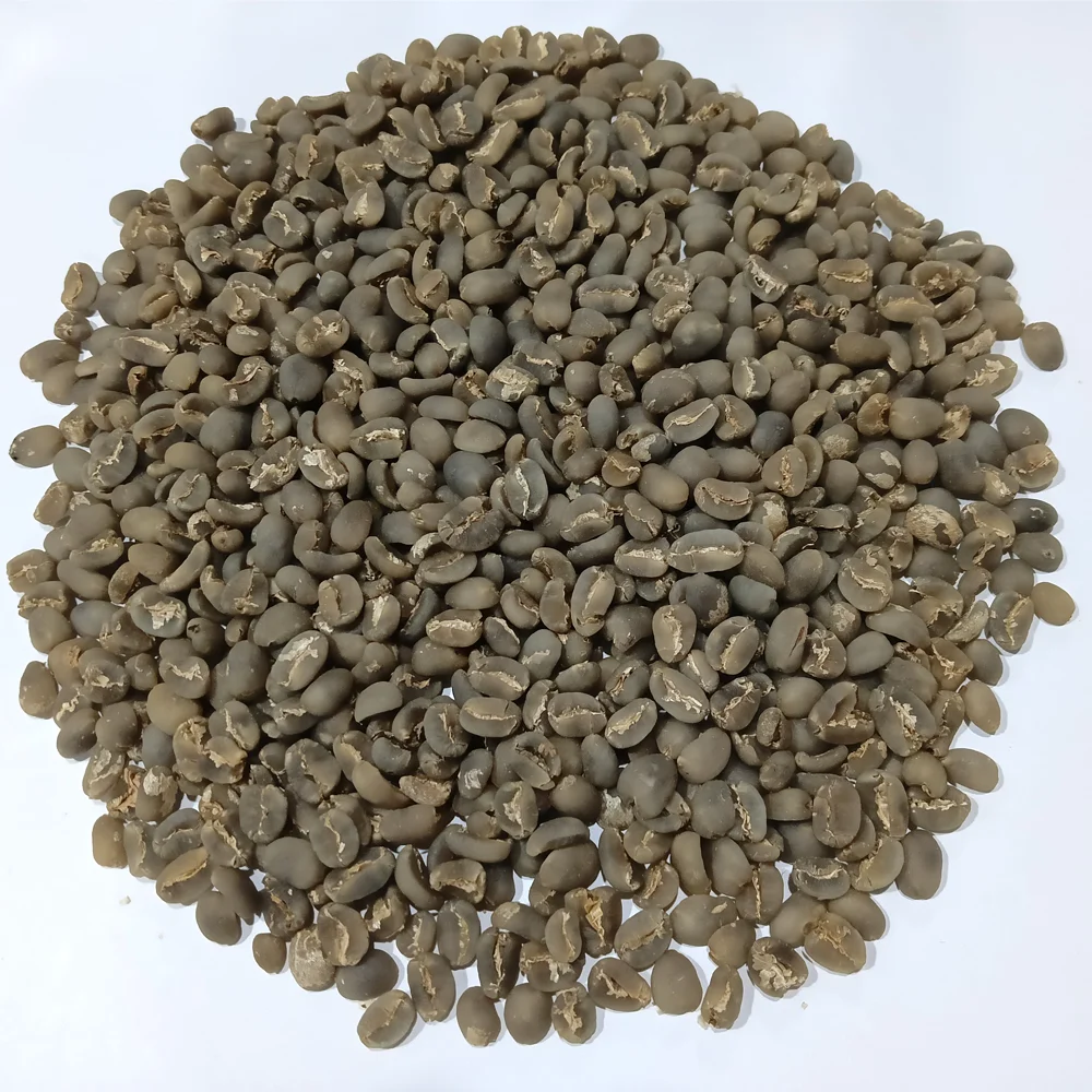 Specialty Grade Lintong Sumatra Green Coffee Beans for Wholesale Bulk The Premium Quality of Sumatran Lintong Coffee Beans