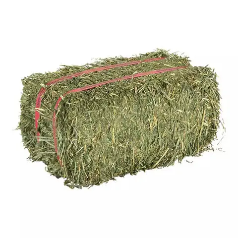 alfalfa hay exports