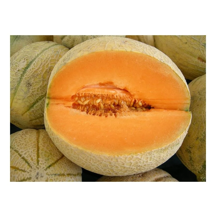 Высококачественные свежие фрукты педоны для продажи по лучшей цене