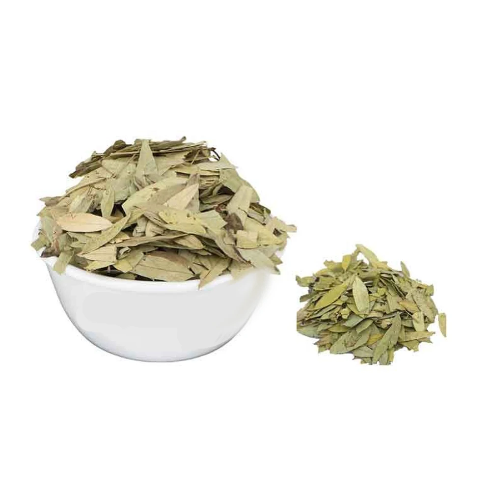 Best Quality Senna Leaves  Buy At Lowest Price