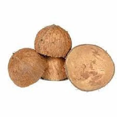 Organic Coconut Shell