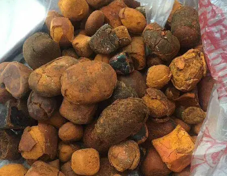 Sell Gallstones COW Gallbladder Stones For Medicine OX Gallstone Supply High Quality Natural Gallstones