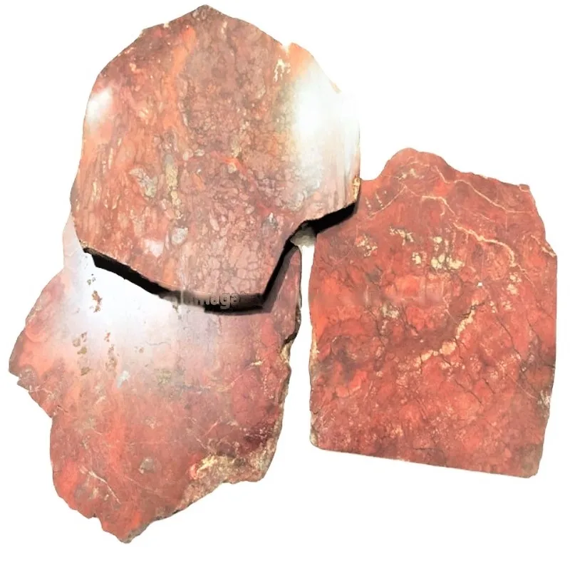 Red Petrified Wood Agate Coasters 7MM Natural Shape Agate Slab Coasters Natural Stones Crystal Crafts Gift Tea Coffee Cup Slices