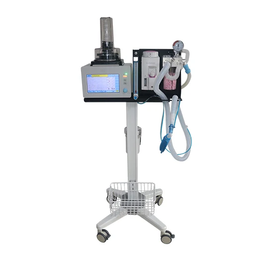 Hacemey Automatic ICU Veterinary surgical Anesthesia machine Vaporizer Anesthesia System For Vet