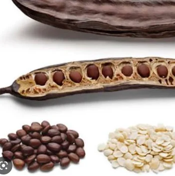 Locust Bean Gum/ Carob Gum (LBG)