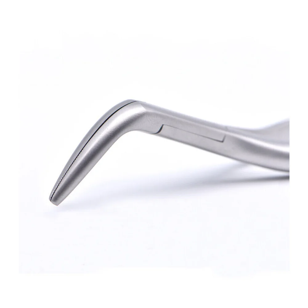 Premium Stainless Steel Dental Extraction Forceps for Effective Tooth Extraction
