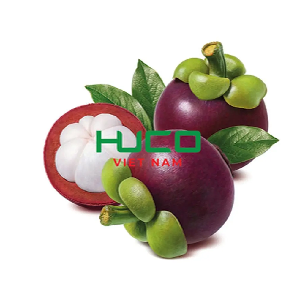 Highest Selling Products Fruit CHEAP PRICE MANGOSTEEN FRUIT from VIETNAM
