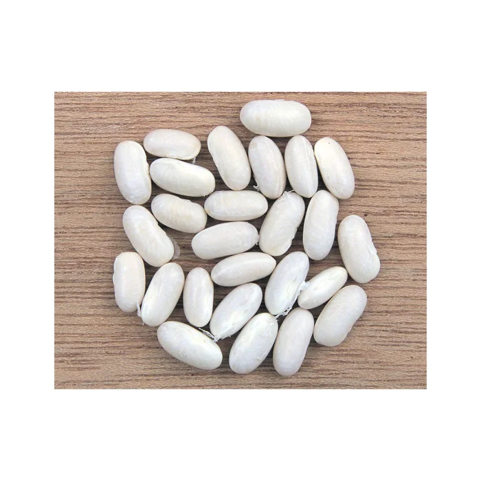 Best Quality Wholesale White Kidney Beans For Sale In Cheap Price Top Grade Wholesale white kidney Beans For Sale In Cheap Price