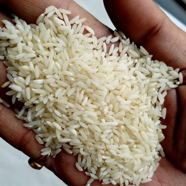 Premium Quality Sona Masoori Steam Rice