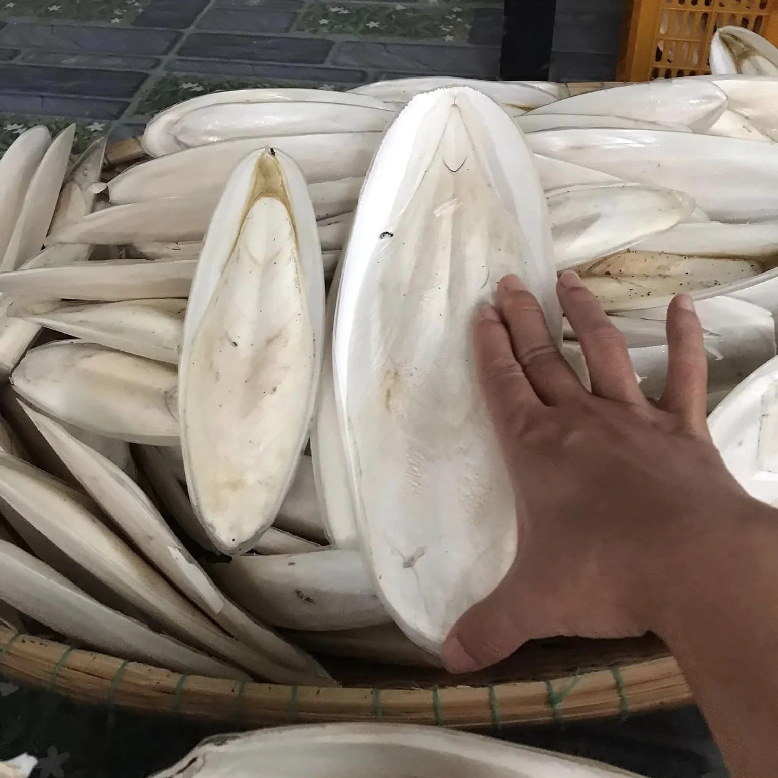 Оптовая продажа 100% натуральный белый сушеный корм для каракатиц животных птиц упаковка коробки прямо из Вьетнама/Анна до