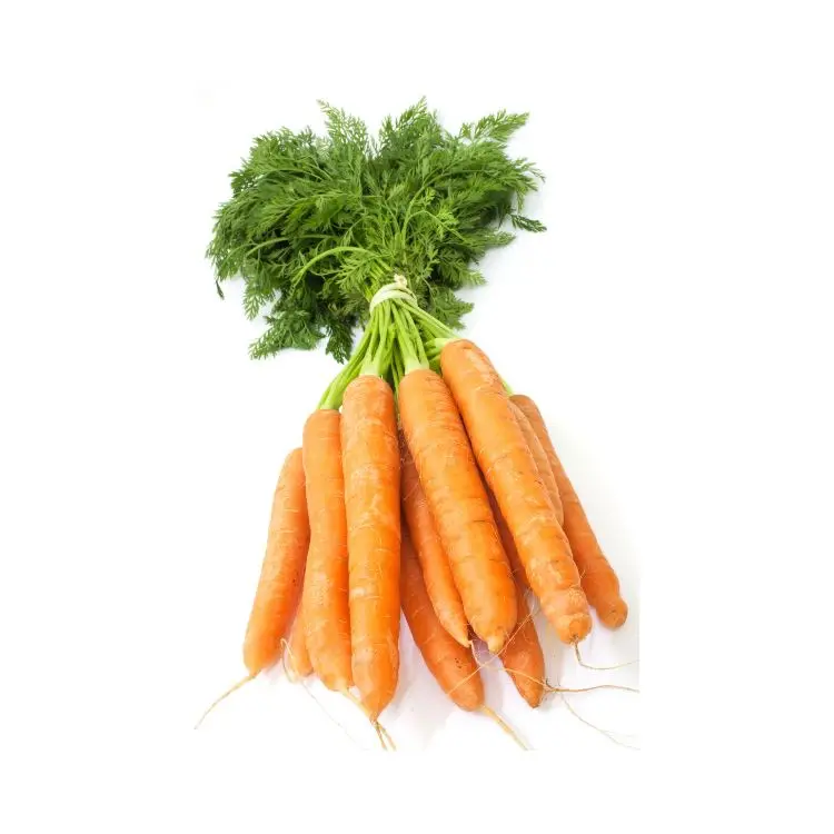 Factory supply carrot extract Beta Carotene 1%