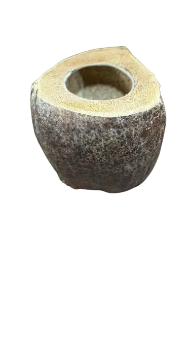 Coconut water container sustainable and eco-friendly useful for birds and pets serves as a water bowl