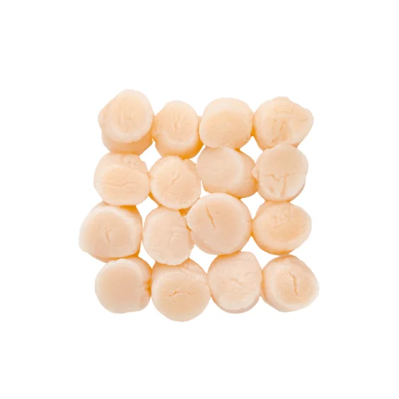 Hot Selling Frozen Scallops (Raw Eating) Shellfish Meat Seafood Bulk