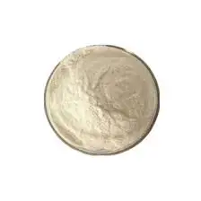 Food Enzyme Protease Food Grade Factory Supply Food Additives Enzyme Neutral Protease Powder